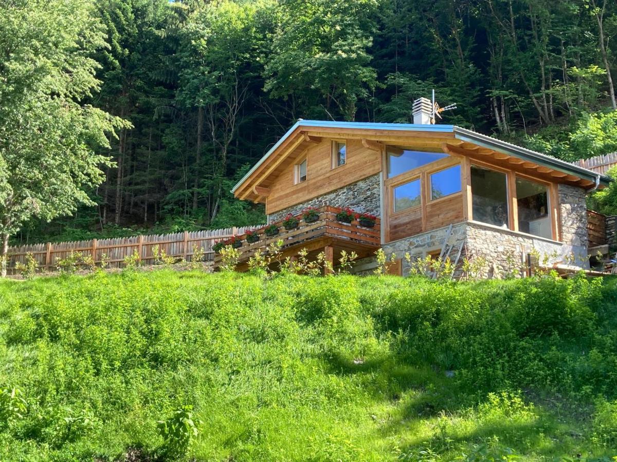 فيلا Cozy Nature House كوليكو المظهر الخارجي الصورة