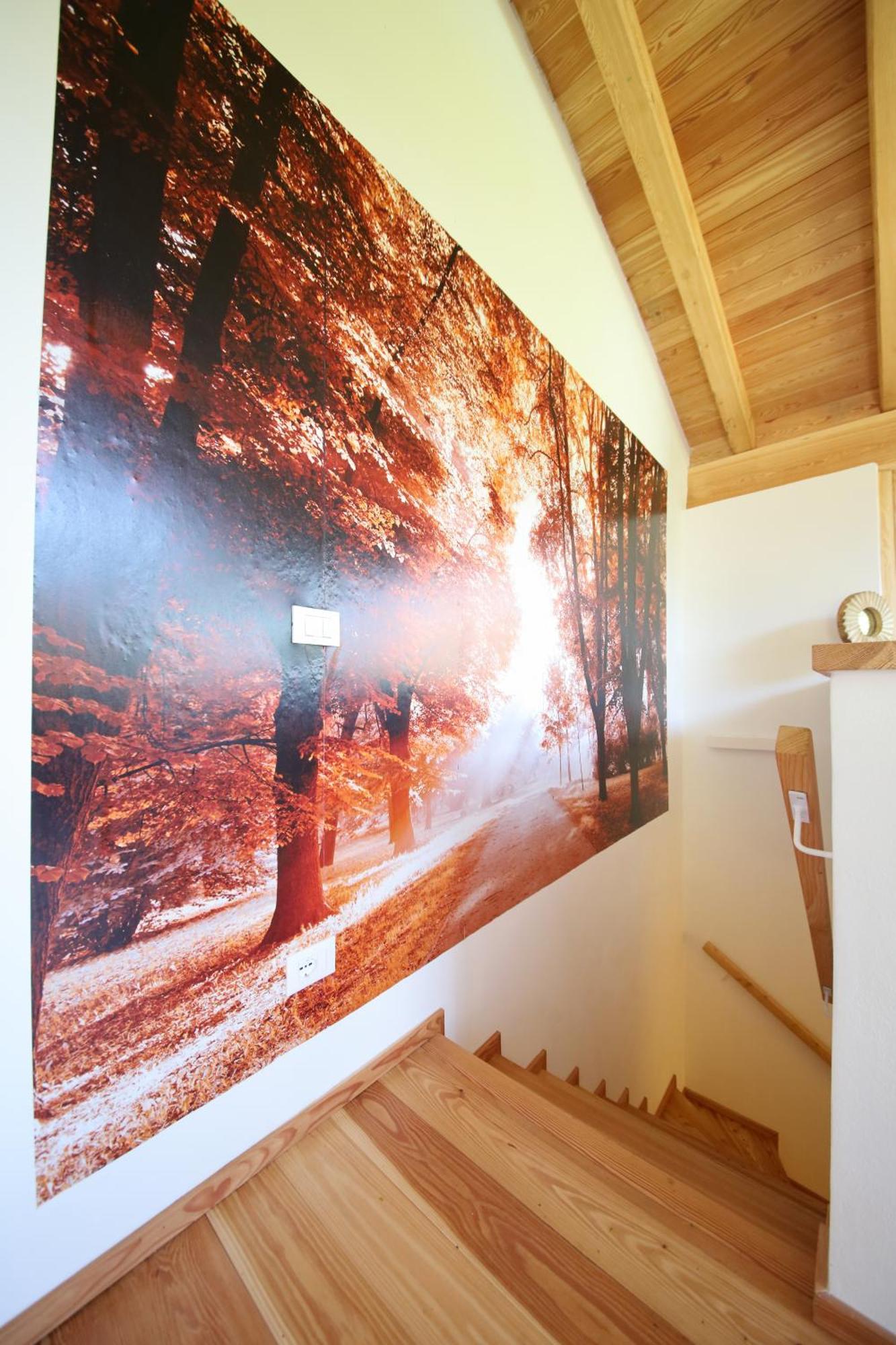 فيلا Cozy Nature House كوليكو المظهر الخارجي الصورة